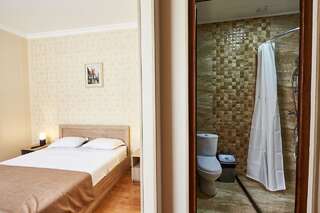 Отель Hotel Old Borjomi Боржоми Стандартный двухместный номер с 1 кроватью или 2 отдельными кроватями-6