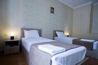 Отель Hotel Old Borjomi Боржоми Стандартный двухместный номер с 1 кроватью или 2 отдельными кроватями-11