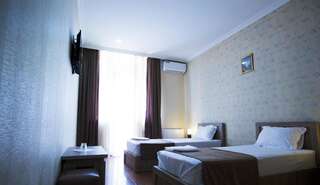 Отель Hotel Old Borjomi Боржоми Стандартный двухместный номер с 1 кроватью или 2 отдельными кроватями-13